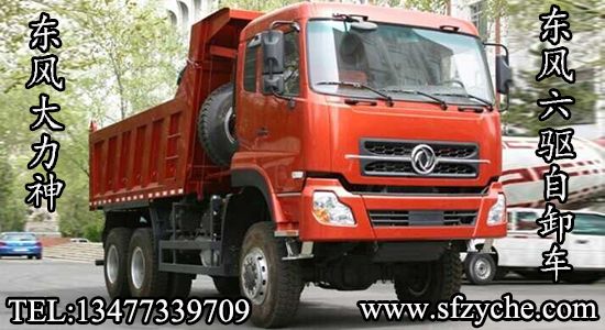 ���ڌ������ԽҰ��ж܇